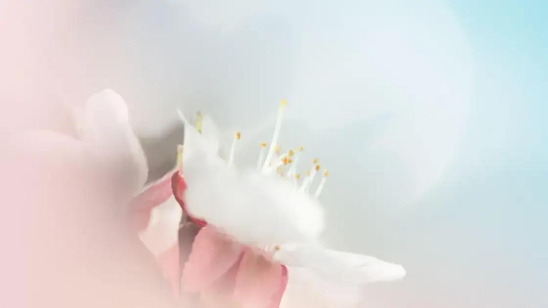 benefícios de ter um plano anual em clínica estética